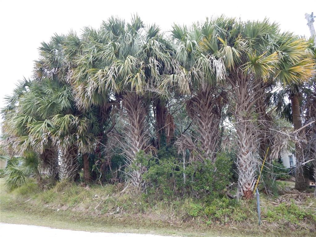 Property for sale at 8 COLLINGVILLE COURT, PALM COAST, FL, 32137