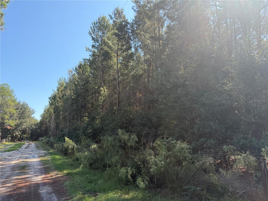 Property for sale at 7818 NW STATE ROAD 45, HIGH SPRINGS, FL, 32643