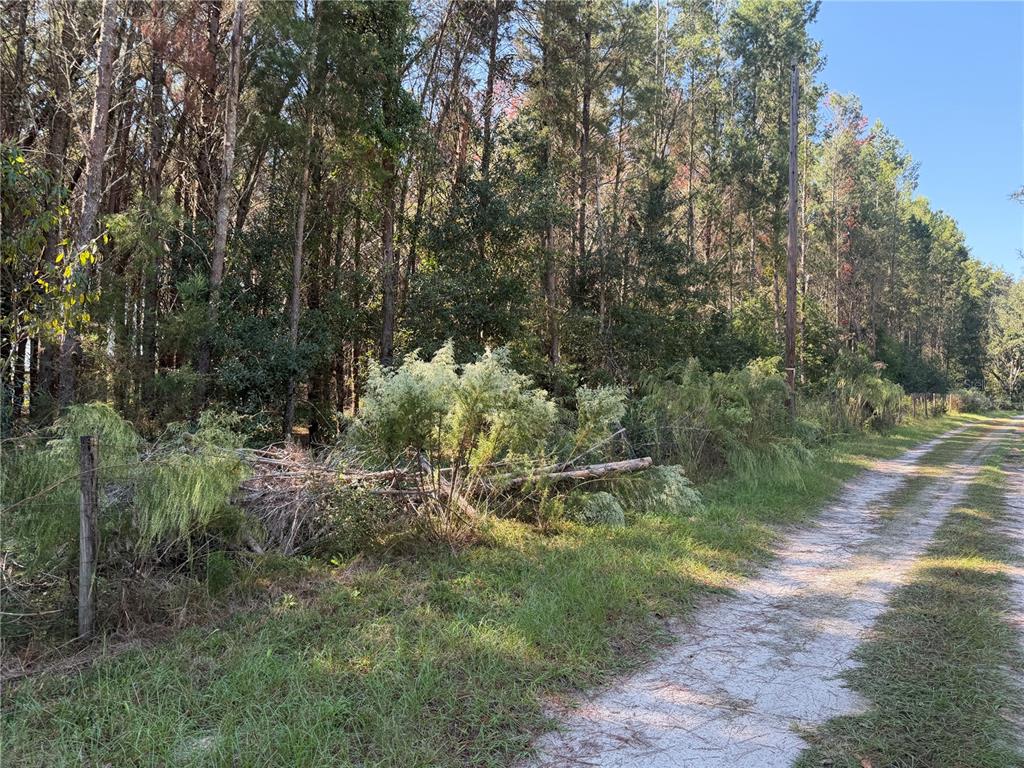 Property for sale at 7818 NW STATE ROAD 45, HIGH SPRINGS, FL, 32643