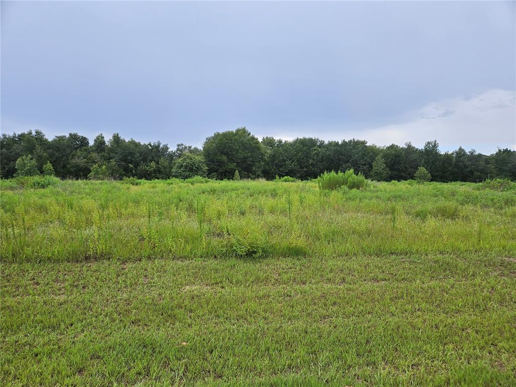 Property for sale at 8881 VALERIE COURT, ZEPHYRHILLS, FL, 33540