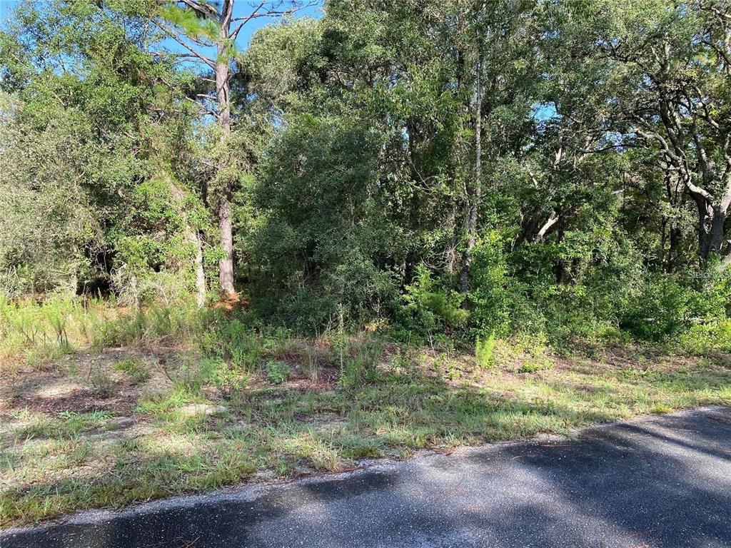 Property for sale at 00 SW BREEZY POINT DRIVE, DUNNELLON, FL, 34431
