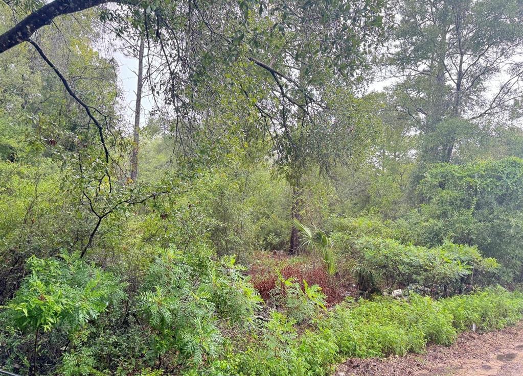 Property for sale at 123xx NE 85TH STREET, BRONSON, FL, 32621