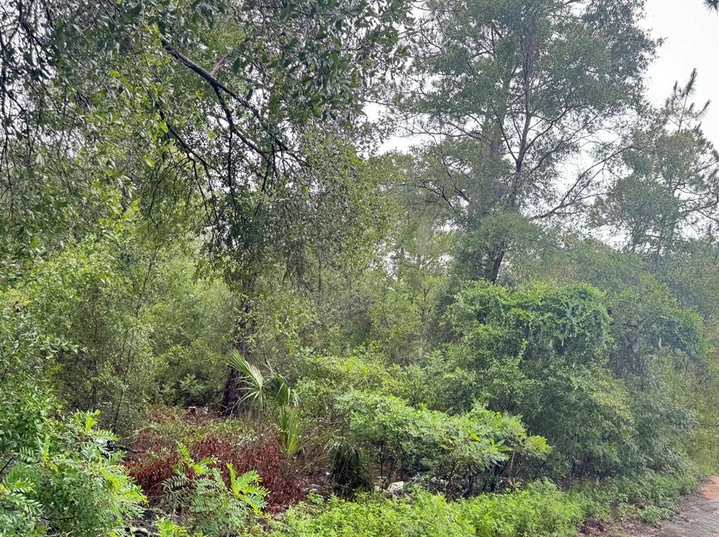 Property for sale at 123xx NE 85TH STREET, BRONSON, FL, 32621