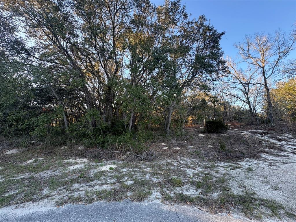 Property for sale at 0 SW 147TH STREET ROAD, OCALA, FL, 34473