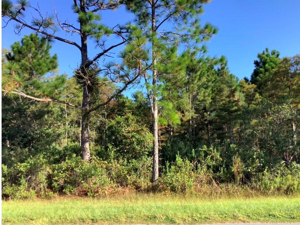 Property for sale at RALSTON STREET, ORLANDO, FL, 32833