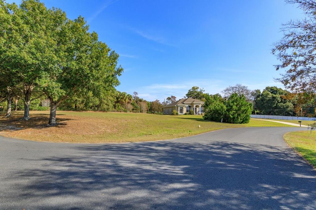 Street View-1001 MYRTLE BREEZES COURT, FRUITLAND PARK, FL 34731