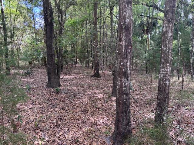 Property for sale at 1.77 acres NW 73 STREET, CHIEFLAND, FL, 32626