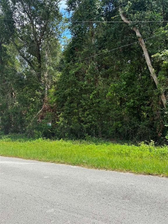 Property for sale at 0000 NW 166TH STREET, TRENTON, FL, 32693