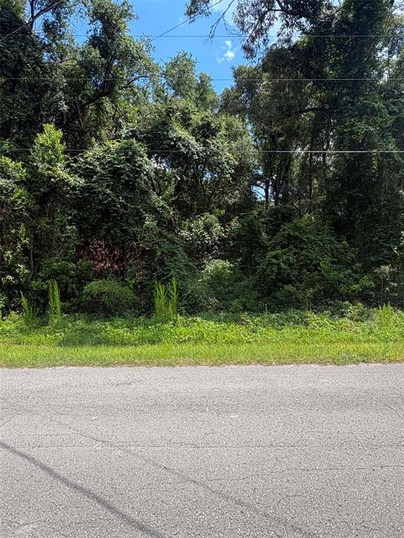 Property for sale at 0000 NW 166TH STREET, TRENTON, FL, 32693
