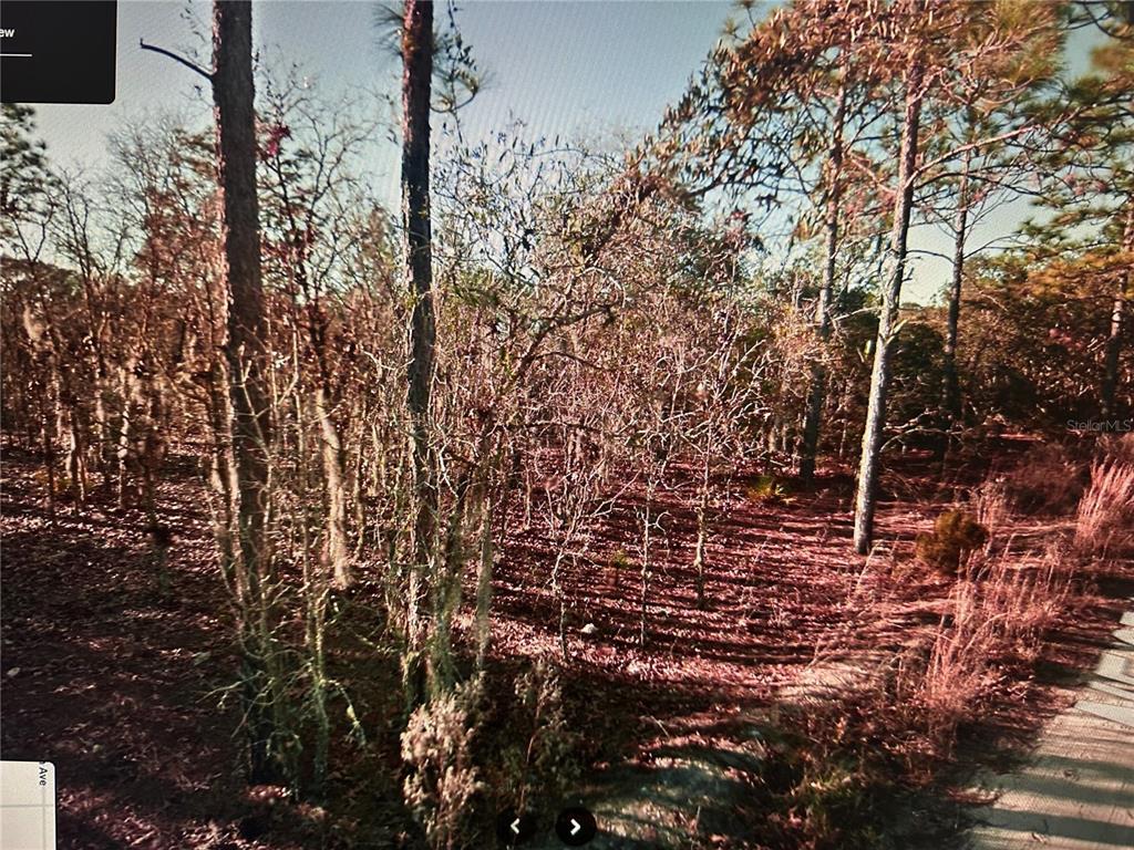 Property for sale at TBD NE 97TH COURT, BRONSON, FL, 32621