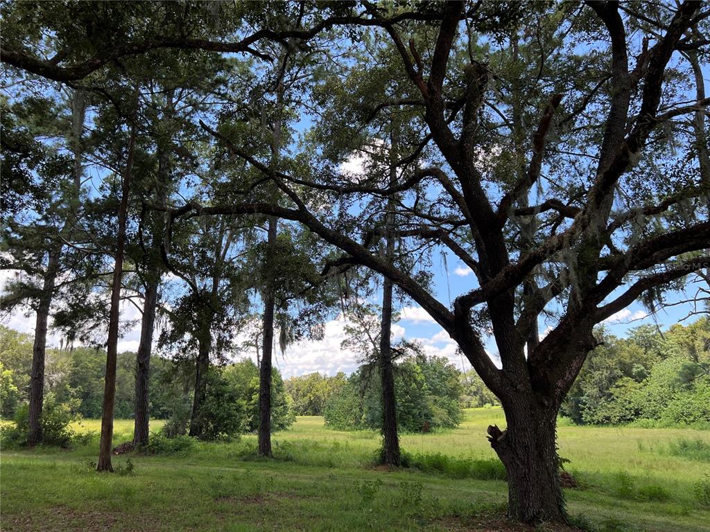 Property for sale at 5500 SE 24TH STREET, OCALA, FL, 34480
