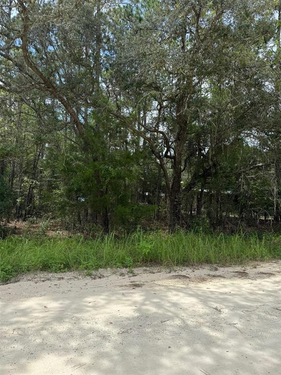 Property for sale at 4500 SW 175 COURT, DUNNELLON, FL, 34432