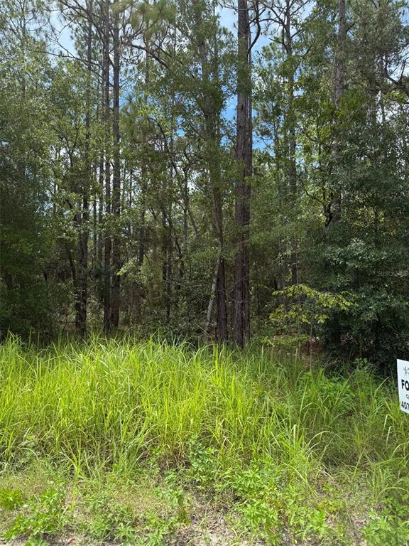 Property for sale at 4500 SW 175 COURT, DUNNELLON, FL, 34432