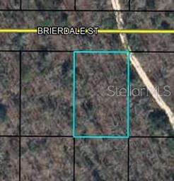 Property for sale at Lot 6 BRIERDALE STREET, CHIPLEY, FL, 32428