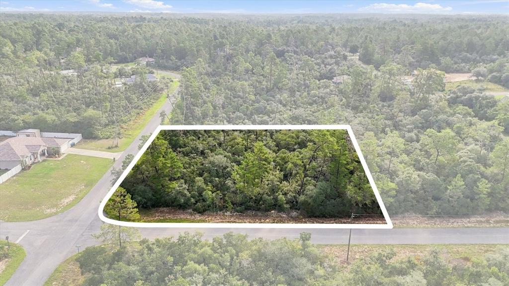 Property for sale at 4282 W THRUSH DRIVE, CITRUS SPRINGS, FL, 34433