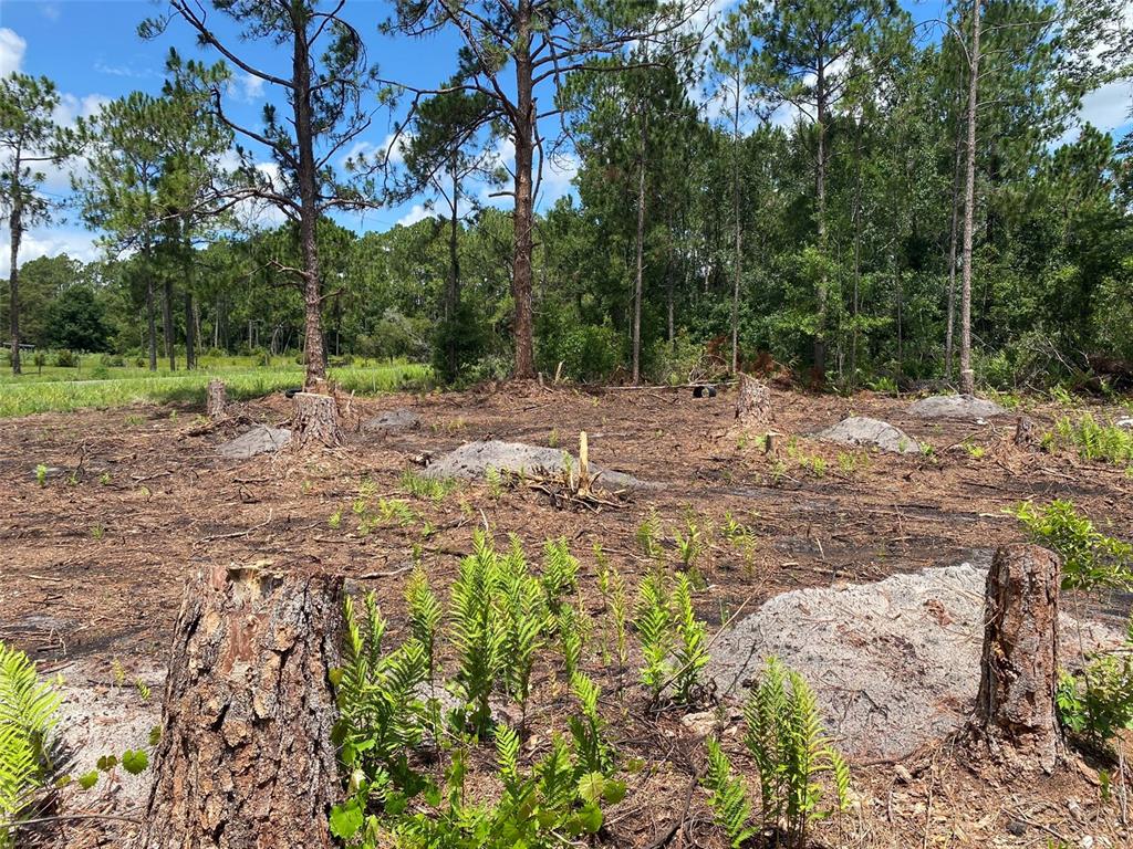 Property for sale at 2101 W FROSTPROOF ROAD, FROSTPROOF, FL, 33843