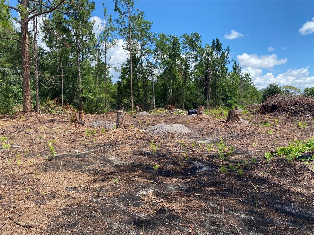 Property for sale at 2101 W FROSTPROOF ROAD, FROSTPROOF, FL, 33843