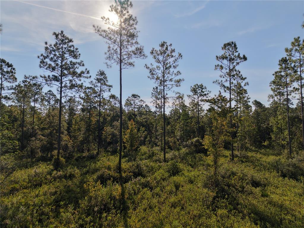 Property for sale at OFF NE 212TH ST., FORT MC COY, FL, 32134