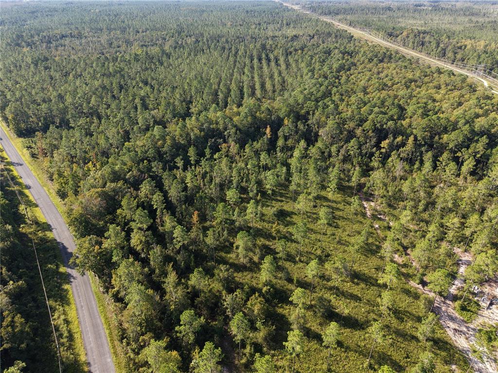 Property for sale at OFF NE 212TH ST., FORT MC COY, FL, 32134