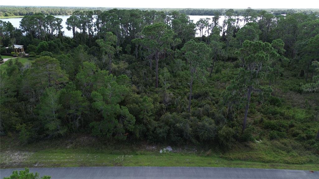 Property for sale at 3029 HAWKS LANDING CIRCLE, SEBRING, FL, 33875