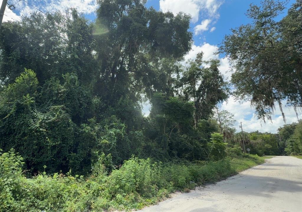 Property for sale at 0000 NE 182ND PLACE, CITRA, FL, 32113