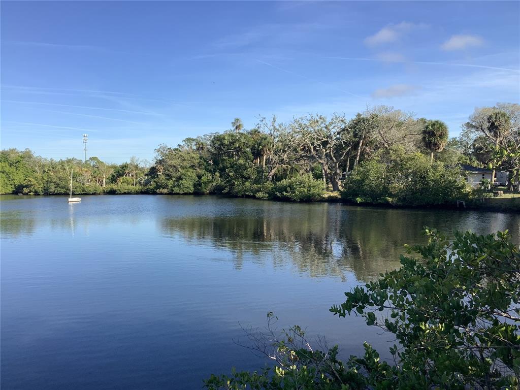 Serene Lake Views