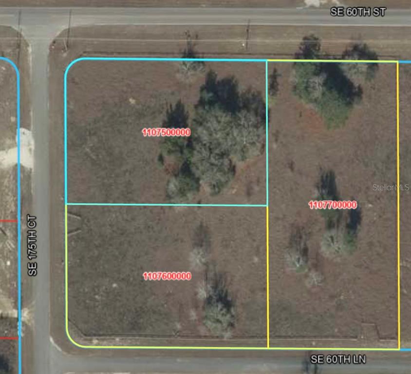 Property for sale at 0 SE 175TH COURT, MORRISTON, FL, 32668