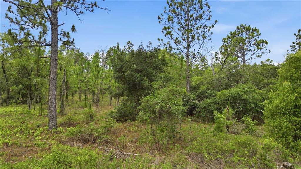 Property for sale at 0000 SW PLAZA COURT COURT, DUNNELLON, FL, 34431