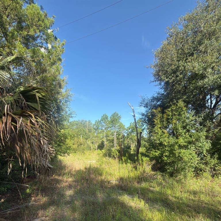 Property for sale at 19037 PARAKEET ROAD, BROOKSVILLE, FL, 34614
