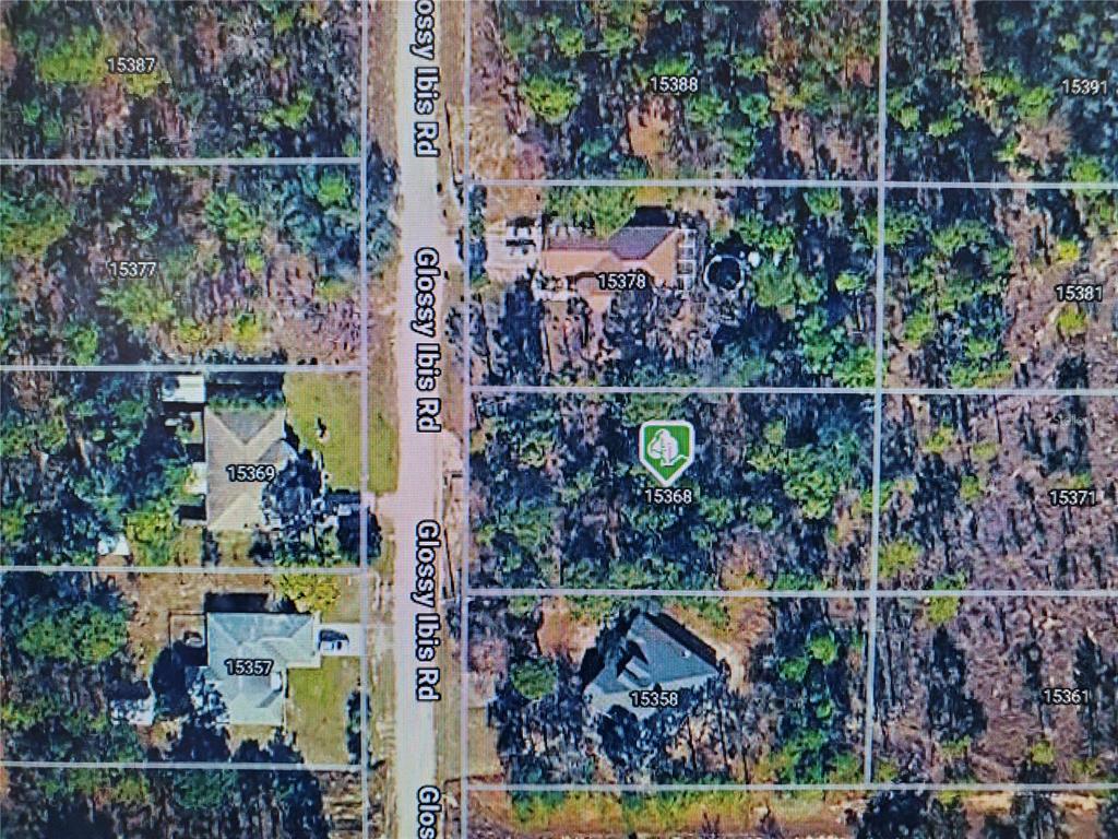 15368 Glossy Ibis is a 1/2 acre buildable vacant lot between existing homes