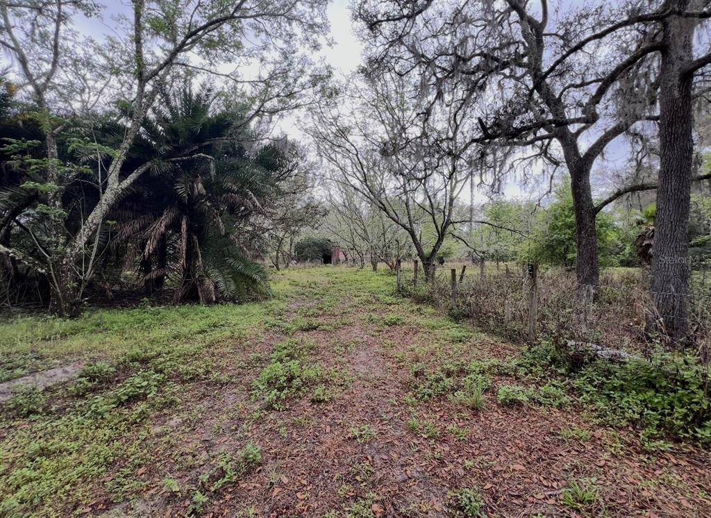 Property for sale at 20231 PAINTER PLACE PLACE, SPRING HILL, FL, 34610