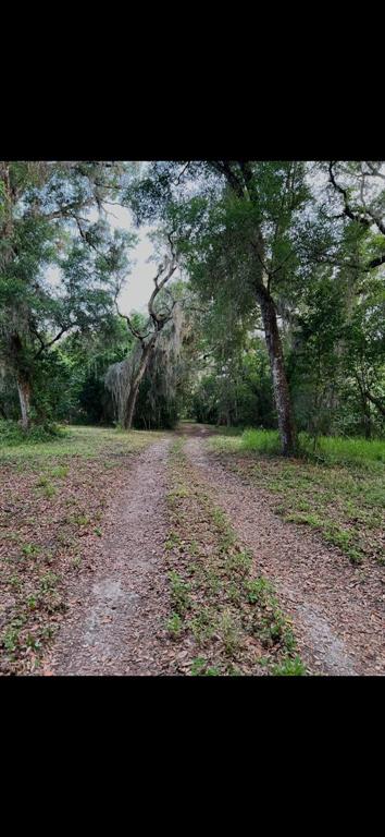 Property for sale at 20231 PAINTER PLACE PLACE, SPRING HILL, FL, 34610