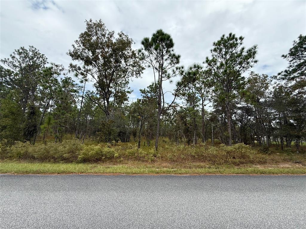 Property for sale at NW AMBERJACK AVENUE, DUNNELLON, FL, 34431