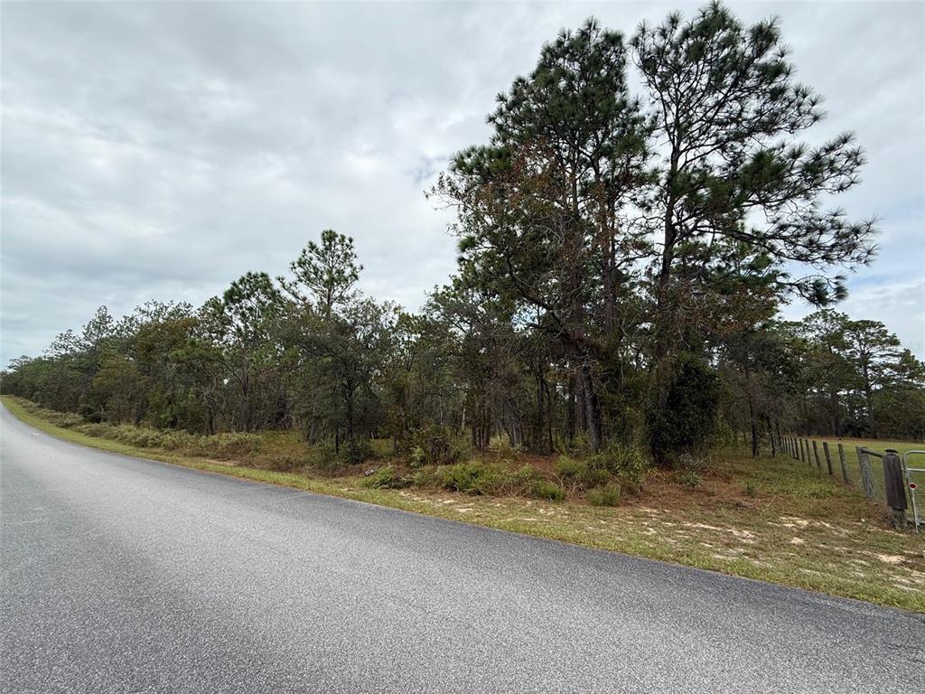 Property for sale at NW AMBERJACK AVENUE, DUNNELLON, FL, 34431