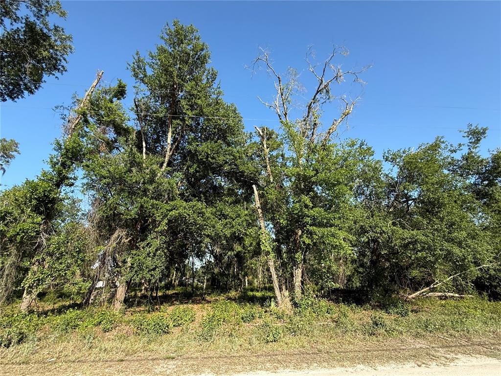 Property for sale at null OWENS DRIVE, ZEPHYRHILLS, FL, 33540