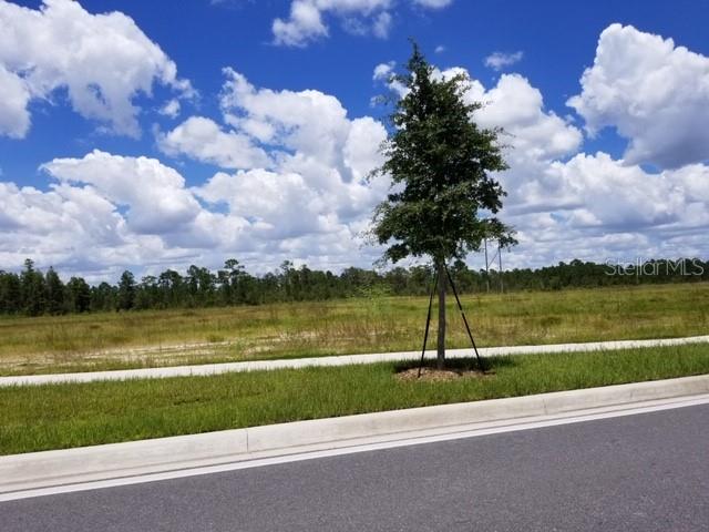 Property for sale at APOPKA VINELAND ROAD, ORLANDO, FL, 32821