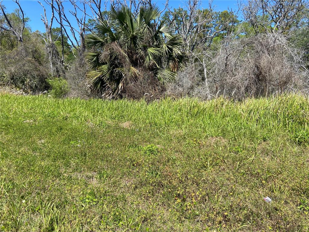 Property for sale at PARCEL 27 15 30 00 00 0200, DE LEON SPRINGS, FL, 32130