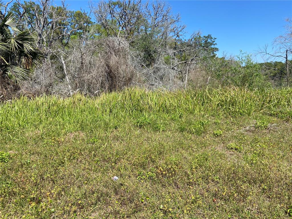 Property for sale at PARCEL 27 15 30 00 00 0200, DE LEON SPRINGS, FL, 32130