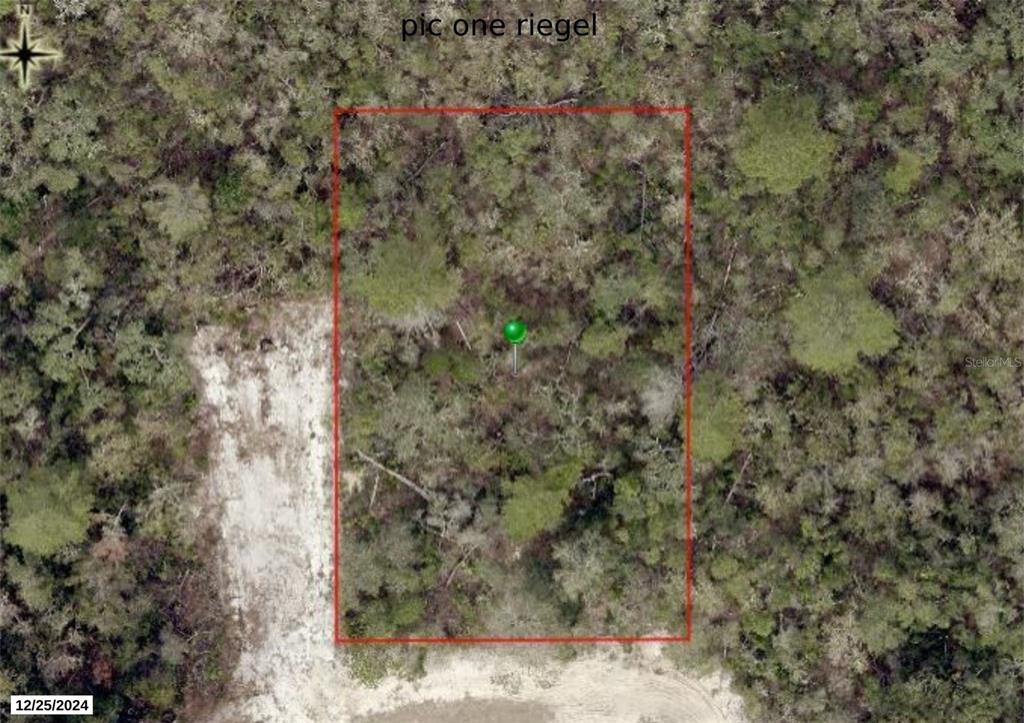 Property for sale at RIEGEL (PAPER) AVENUE, ORANGE CITY, FL, 32763