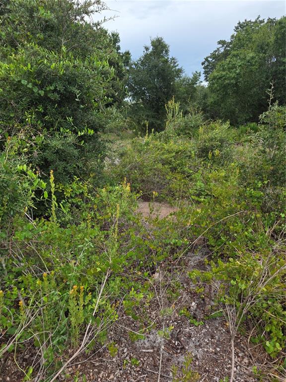 Property for sale at 2354 MARCELLA TERRACE, PUNTA GORDA, FL, 33983