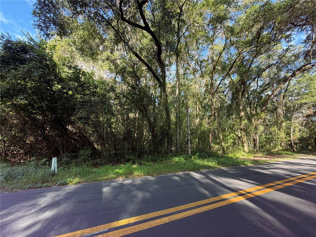 Property for sale at TBD S ST CLAIR ST, WILDWOOD, FL, 34785