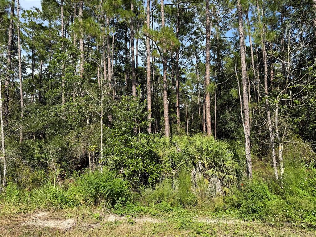 Property for sale at 10TH AVENUE, DELAND, FL, 32724