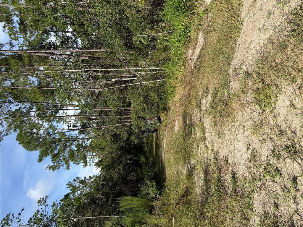 Property for sale at 10TH AVENUE, DELAND, FL, 32724