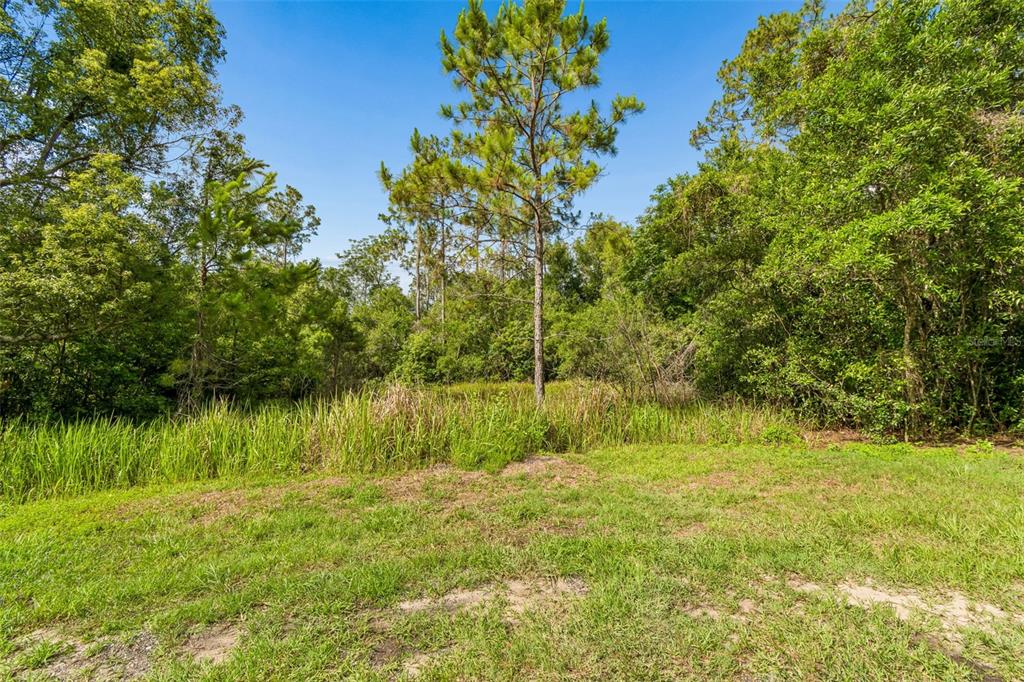 Property for sale at 00 HAMRICH, DADE CITY, FL, 33525