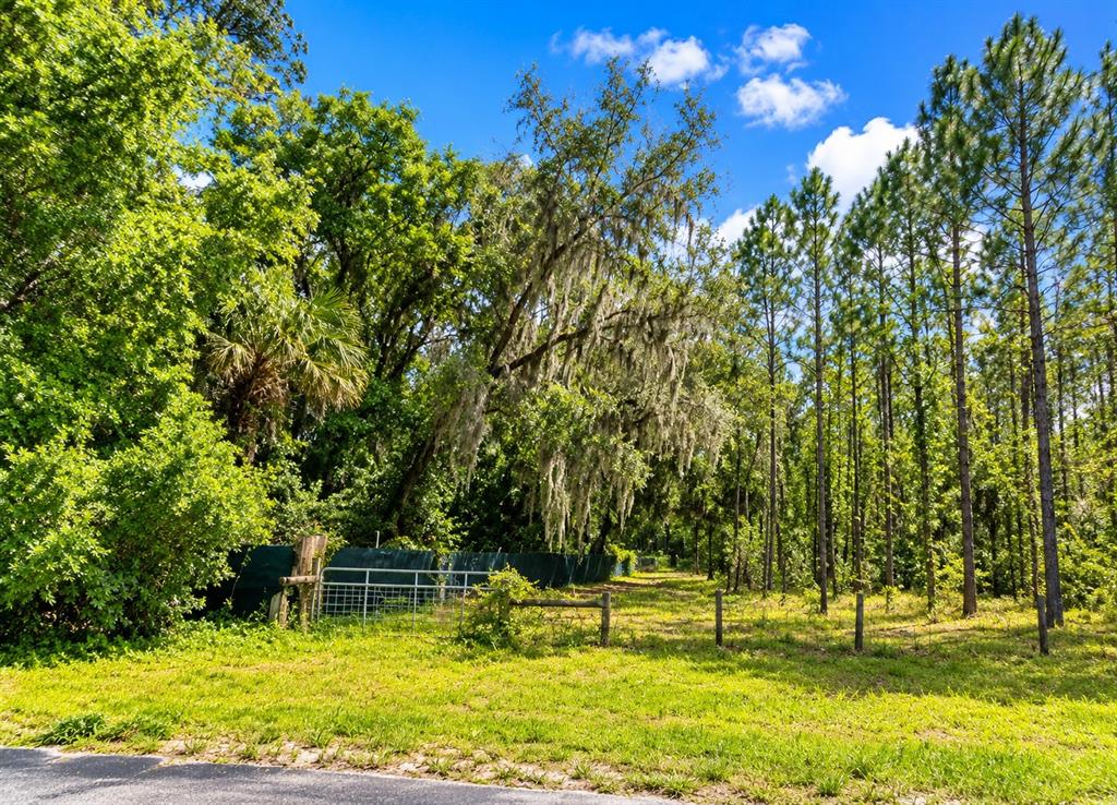 Property for sale at 000 CR 309, SATSUMA, FL, 32189