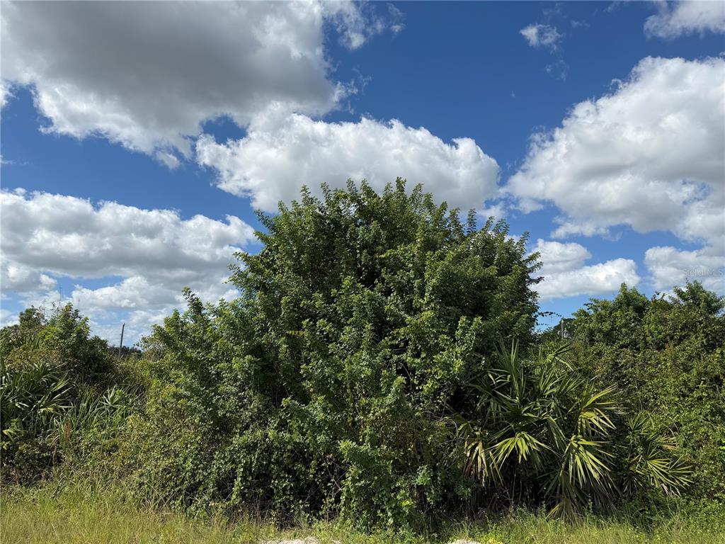 Property for sale at 1209 PLUMOSA AVENUE UNIT 3, LEHIGH ACRES, FL, 33972