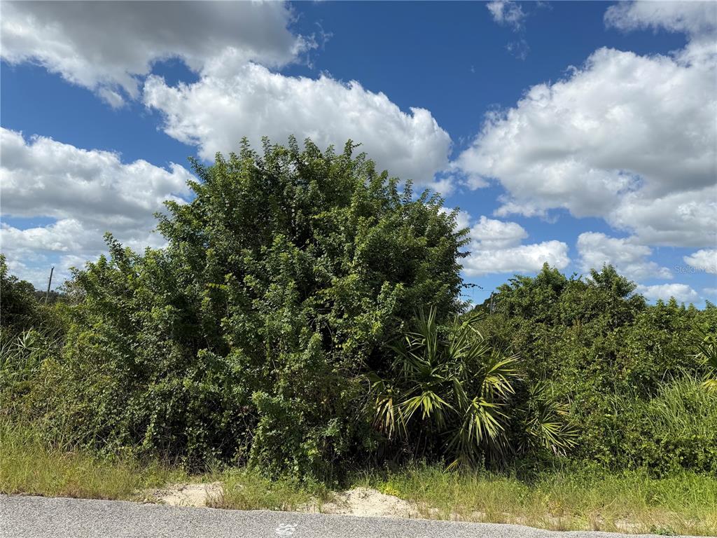 Property for sale at 1209 PLUMOSA AVENUE UNIT 3, LEHIGH ACRES, FL, 33972