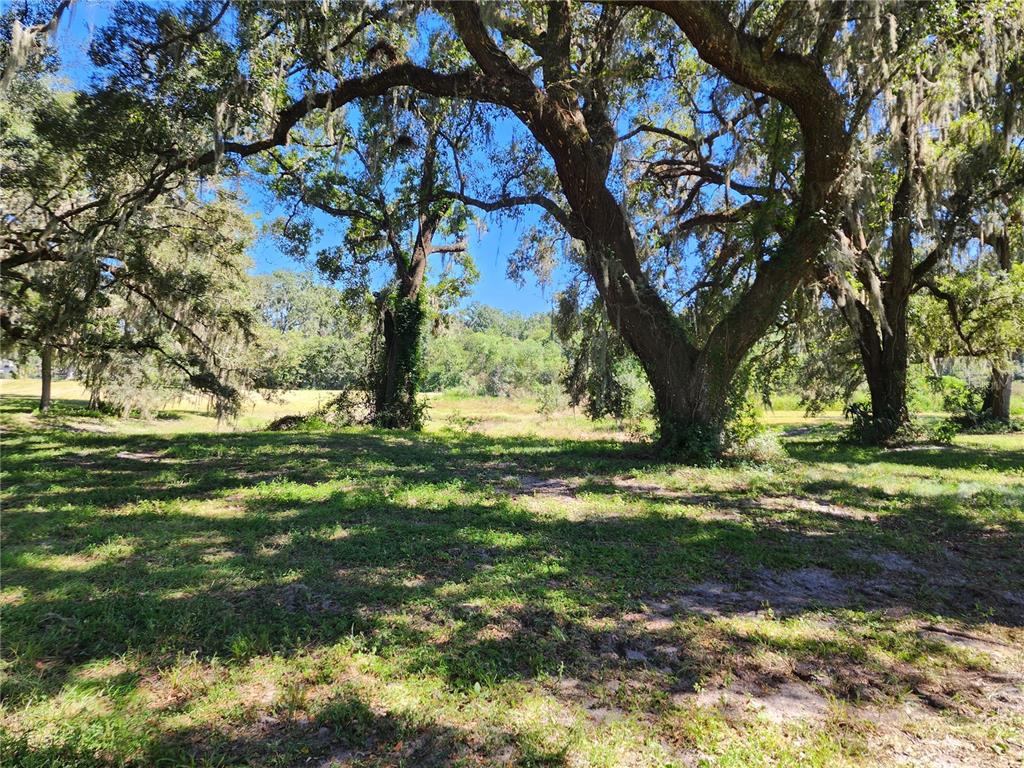 Property for sale at 7670 NW 137TH AVENUE, MORRISTON, FL, 32668