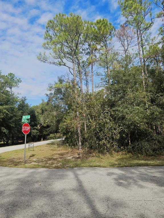 Property for sale at SOUTHWEST 206TH COURT RD, DUNNELLON, FL, 34431
