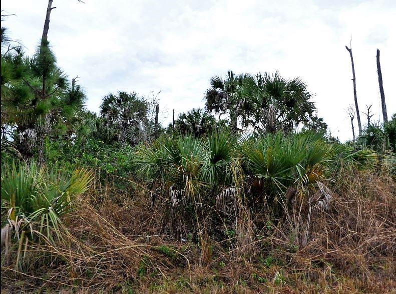 Property for sale at PIMENTO CIRCLE, NORTH PORT, FL, 34288